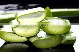Beauty Products Aloe Vera Gel. thumbnail-5