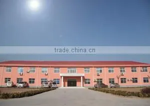 Shandong Double Crane Machinery Manufacture Co., Ltd. company overview - view 2 thumbnail
