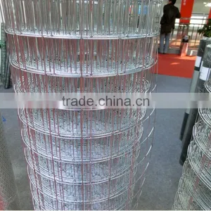 Professional Factory Manufactured Stainless Steel Welded Waterproof Wire Mesh for Screenin/welded Wire Netting/welded Wire Cloth thumbnail-3
