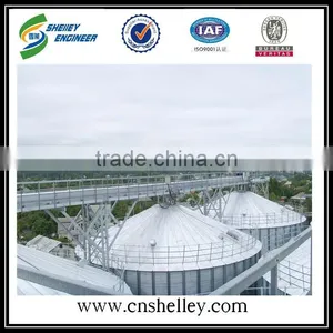 Peanut Grain Chain Conveyor for Sale thumbnail-3