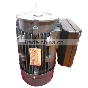 IE Standard Single Phase Capacitor Start and Capacitor Run Asynchronius Motors ML90L 4 thumbnail-1