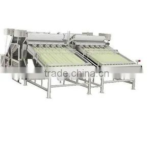 Shrimp Grading Machine Shrimp Grader thumbnail-1