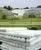 Building Film ,protective Plastic Film in a Low Price thumbnail-2