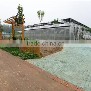 New Design Glass Greenhouses Used With High Quality thumbnail-1