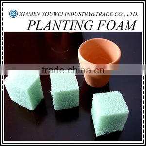 Soilless Cultivation of Vegetables Techniques Planting Foam/ Soilless Culture Foam thumbnail-1