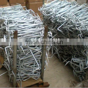 Common Galvanized Steel Nail thumbnail-1