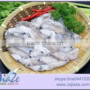 Frozen Food Baby Squid thumbnail-1
