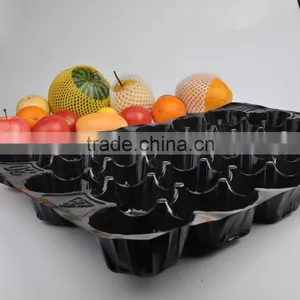 Popular Wholesale Texas USA Promotion High Grade Black Blue Color 5LB Tomato Insert Tray thumbnail-2