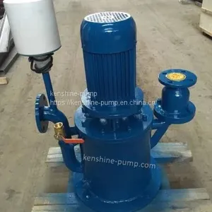 LRY Vertical Heat Conduction Oil Pump High Temperature Vertical Oil Pump thumbnail-3