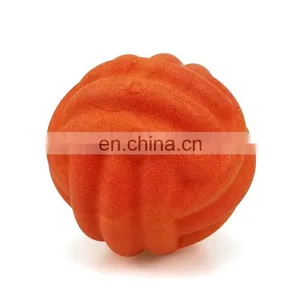 Dog Chew Toys Durable Pet Floatable Balls Chew Toys, Bounce Balls,dog Activity Toy thumbnail-3