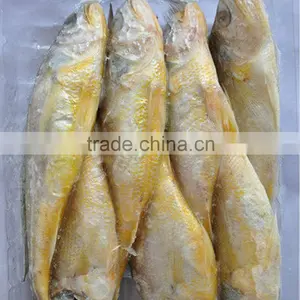Frozen Yellow Croaker Delicious Seafood thumbnail-5