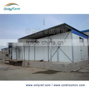 Walk in Cold Chamber and Cold Rooms for Horticulture thumbnail-2