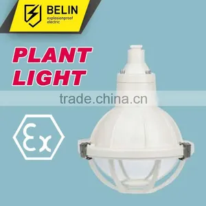 BAD51-S Safety-increased Explosion Proof Corrosion Proof Light thumbnail-1