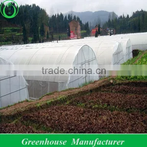 Vertical Wind Tunnel Greenhouse thumbnail-1
