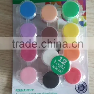 12 Colors Primary Acrylic Paint With a Brush thumbnail-1