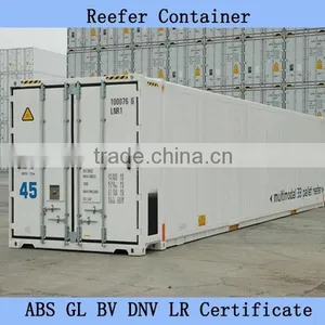Special Reefer Container 48ft 53ft 45ft Reefer Container thumbnail-3