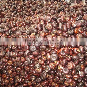 Wholesale Good Fresh Water Chestnut on Sale thumbnail-4