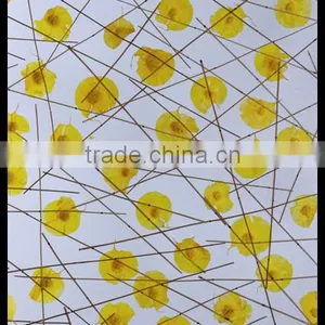 Gingko Leaf Wall Decoration Translucent Acrylic Material thumbnail-2