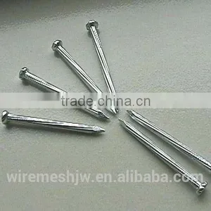 Bright Common Nail thumbnail-1