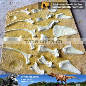 MY Dino-O11 Dinosaur Park Equipment Dinosaur Fossil Excavation Kit thumbnail-2