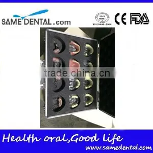 Integrated Denture Model Teaching Demonstration thumbnail-2