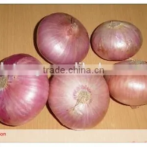 Cheap Price for 2014 New Crop of Fresh Red Onion for Export thumbnail-1