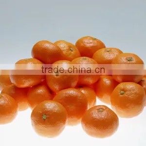 Baby Mandarin 35-55mm for Bangladesh Market thumbnail-1