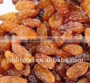 Nature Top Quality Seedless Red Raisin thumbnail-1