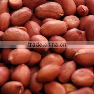 Agricultural Health Snack Food Dry Roasted Peanuts/red Skin Peanut Kernels Dry Roasted Peanuts/red Skin Peanut Kernels thumbnail-2