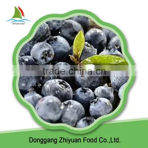IQF Frozen Blueberry thumbnail-1