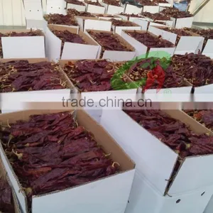 Paper Box Paprika Pods thumbnail-3