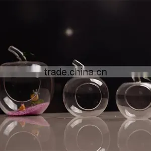 Micro Landscape Ecological Apple Shape With Green Leaf Meaty Plant Glass Vase DIY 16L003 thumbnail-1
