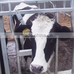 Hot Dip Galvanized Cow Fence With Best Quality thumbnail-3