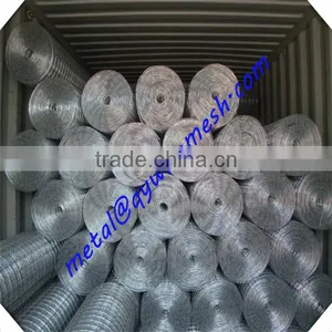 Galvanized 1/4 Inch Galvanized Welded Wire Mesh / Lowest Price Welded Wire Mesh thumbnail-1