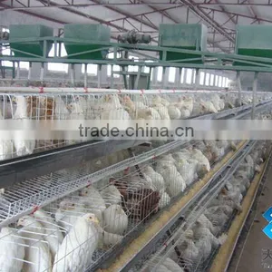 Chicken Cages/layer Chicken Cage thumbnail-3