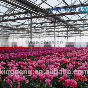 Greenhouse for Growing Flowers thumbnail-4