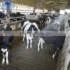 Anti-drip Mist Spray Nozzle for Cattle Corrals thumbnail-5