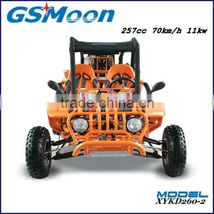 Powerfull China Cheap 250cc EEC go Karts Buggy thumbnail-1