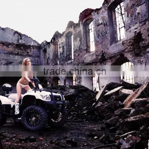 QUAD BIKE 500 thumbnail-2