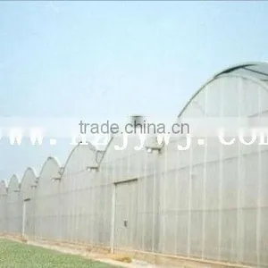 Multi-span Greenhouse thumbnail-1