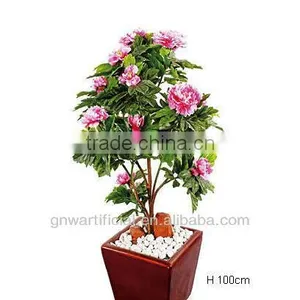 Ficus Microcarpa Bonsai Bonsai Tree Indoor Plant GNW G142 thumbnail-2