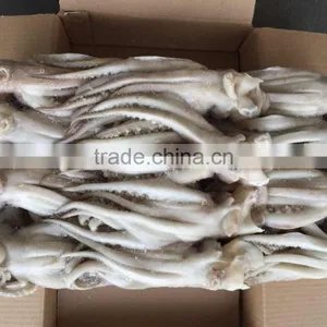 Illex Argentina Frozen Squid Wholesale Tentacle thumbnail-1