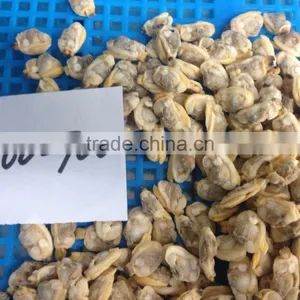 High Quality Frozen Short Necked Clam Meat thumbnail-3