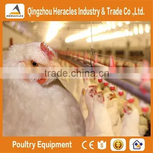 Trade Assurance Poultry Equipment Automatic Feeding System for Broiler thumbnail-1