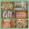 Garlic thumbnail-1