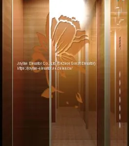 Home Elevator - Joylive Elevator Co., Ltd. thumbnail-2