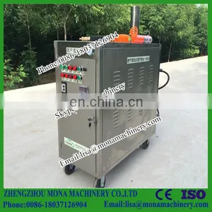 Electric Pump Portable High Pressure Steam Car Wash Machine Steam Cleaning Machine thumbnail-3
