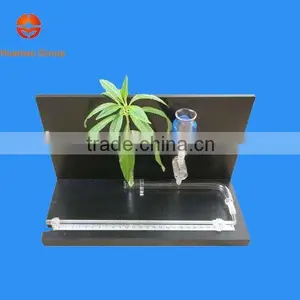 Plant's Transpiration thumbnail-1