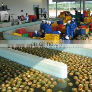 Shanghai Pineapple Peeling Machine thumbnail-3