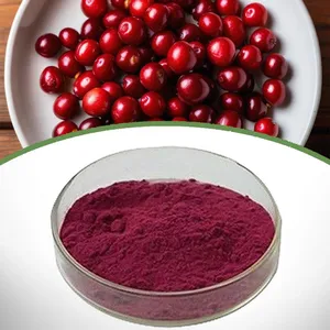 Cranberry Extract thumbnail-1